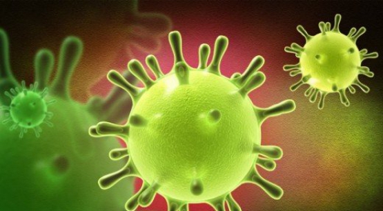 Coronavirus